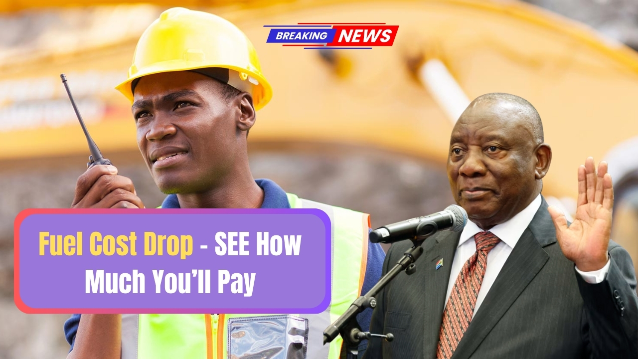 Fuel Cost Drop SEE How Much Youll Pay